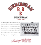 Officially Licensed Birmingham Black Barons Snapback cap