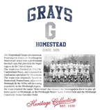 Officially Licensed Homestead Grays Hoodie (note-Hoodies are oversized)