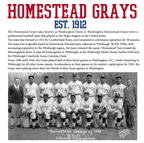 Officially Licensed Homestead Grays Snapback Cap