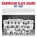 Officially LIcensed Birmingham Black Barons Legacy jersey