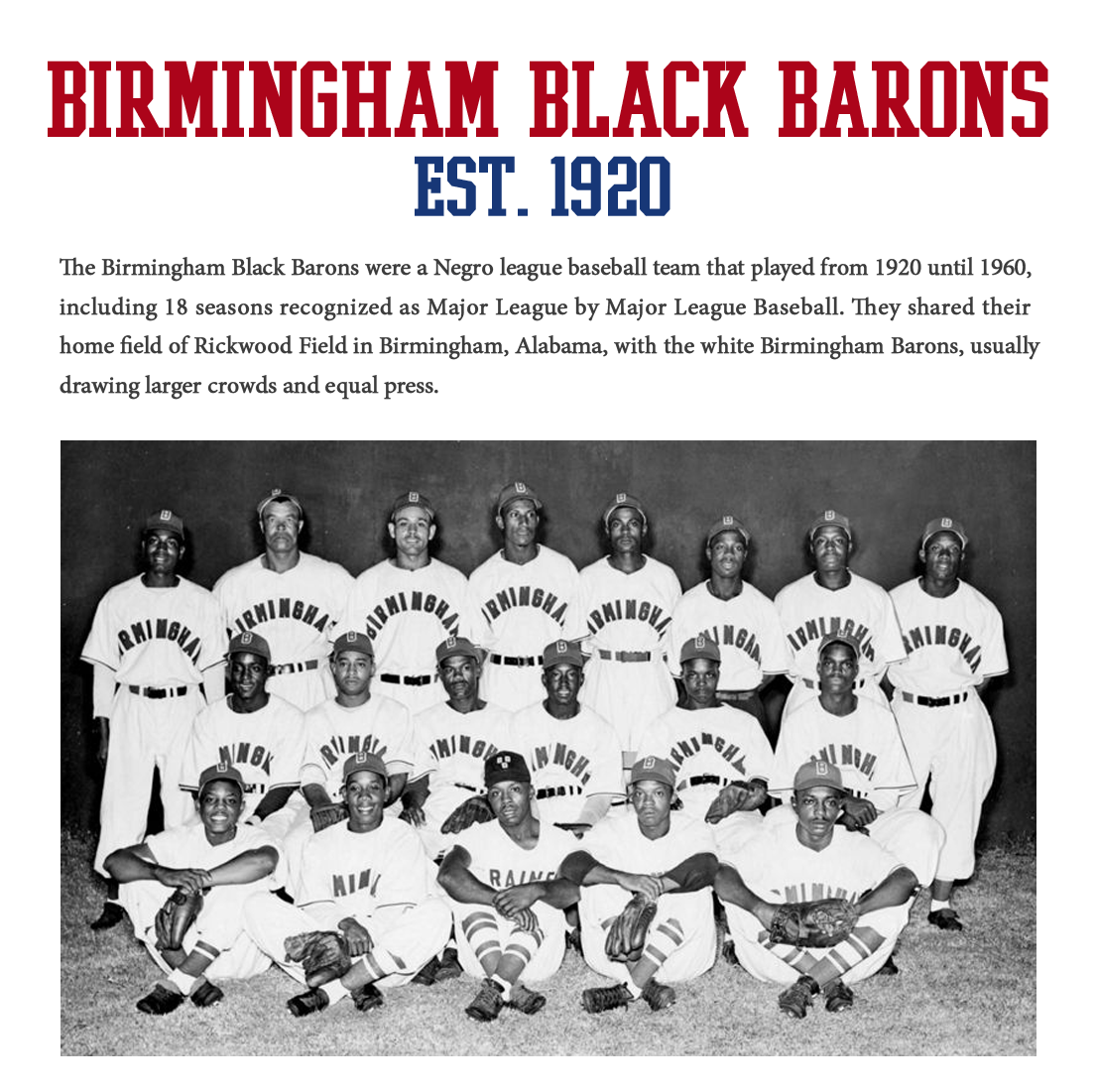 Officially LIcensed Birmingham Black Barons Legacy jersey