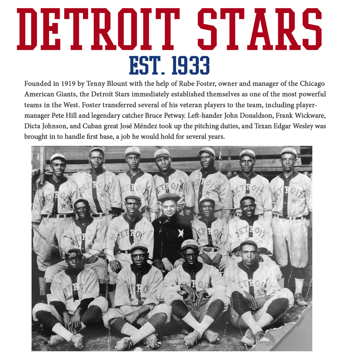 Officially Licensed Detroit Stars Legacy Jersey